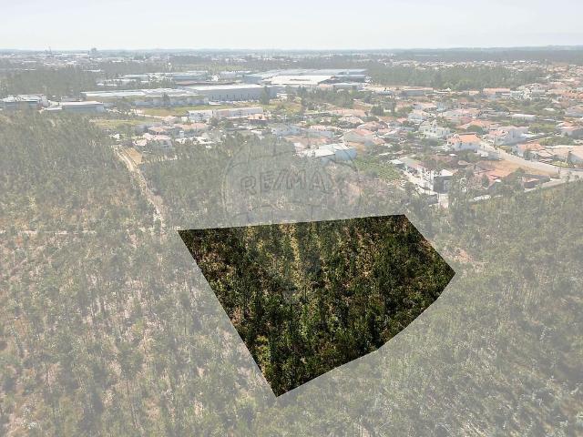 Terreno à venda em Marinha Grande, Marinha Grande RE/MAX Portugal