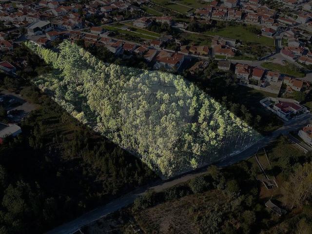 Terreno à venda em Marinha Grande, Marinha Grande RE/MAX Portugal