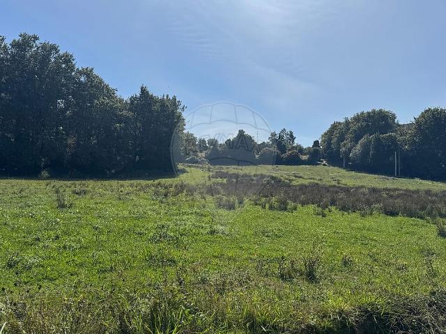 Terreno à venda em Marrancos e Arcozelo, Vila Verde RE/MAX Portugal