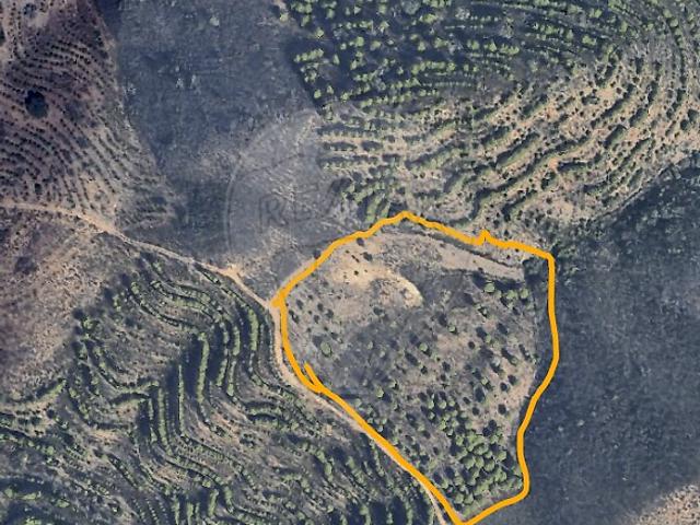 Terreno à venda em Martim Longo, Alcoutim RE/MAX Portugal