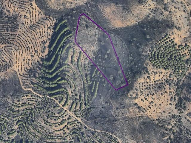 Terreno à venda em Martim Longo, Alcoutim RE/MAX Portugal