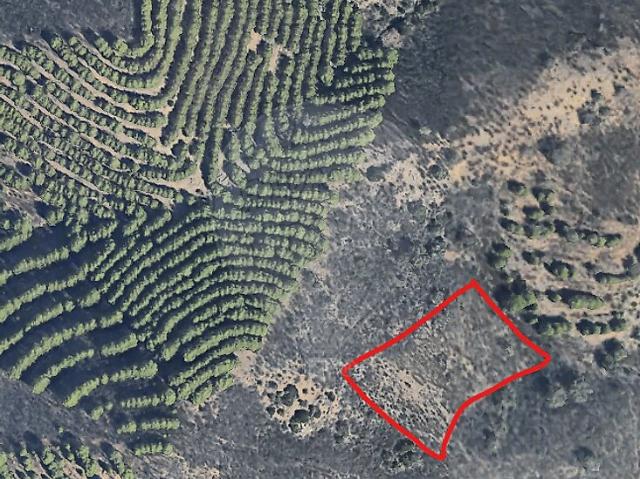 Terreno à venda em Martim Longo, Alcoutim RE/MAX Portugal