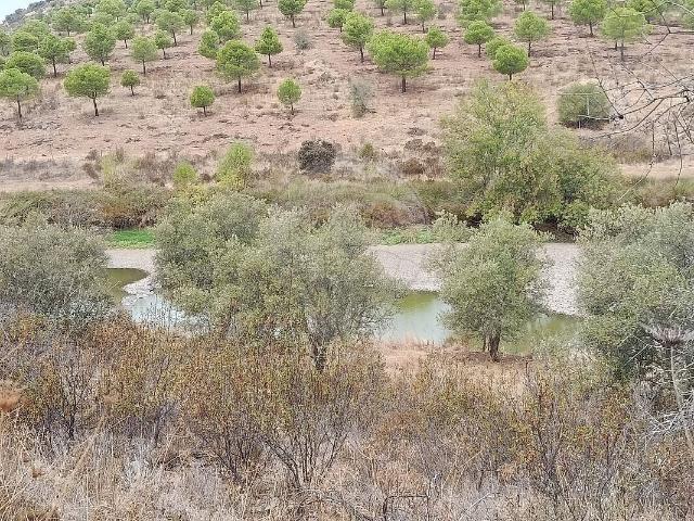 Terreno à venda em Martim Longo, Alcoutim RE/MAX Portugal