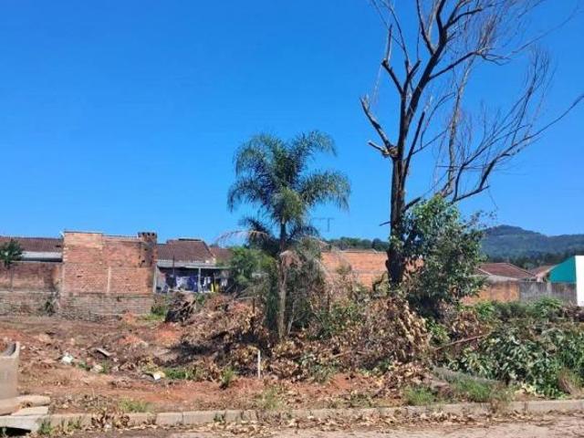 Terreno à venda em Metzler