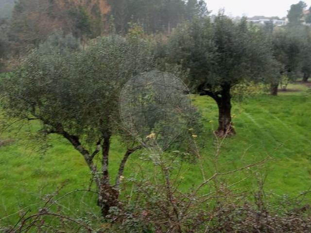 Terreno à venda em Mealhada
