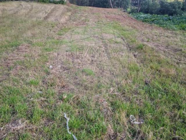 Terreno à venda em Mealhada