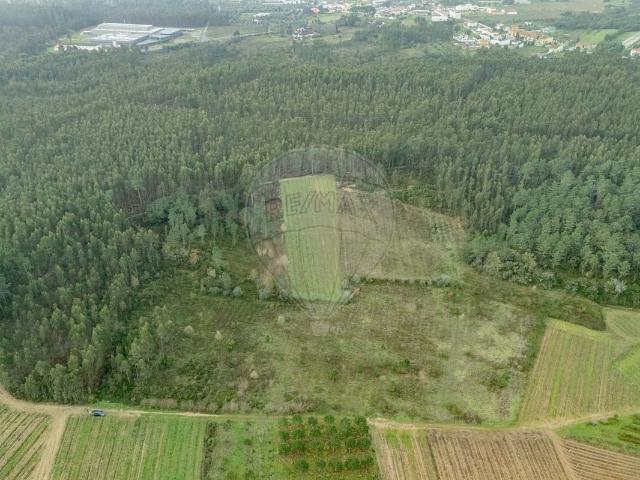 Terreno à venda em Mealhada