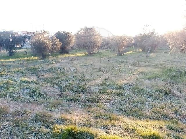 Terreno à venda em Meimoa, Penamacor RE/MAX Portugal