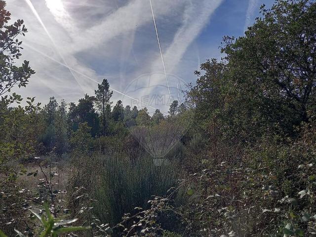 Terreno à venda em Meimoa, Penamacor RE/MAX Portugal