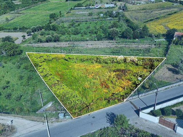Terreno à venda em Meinedo, Lousada RE/MAX Portugal