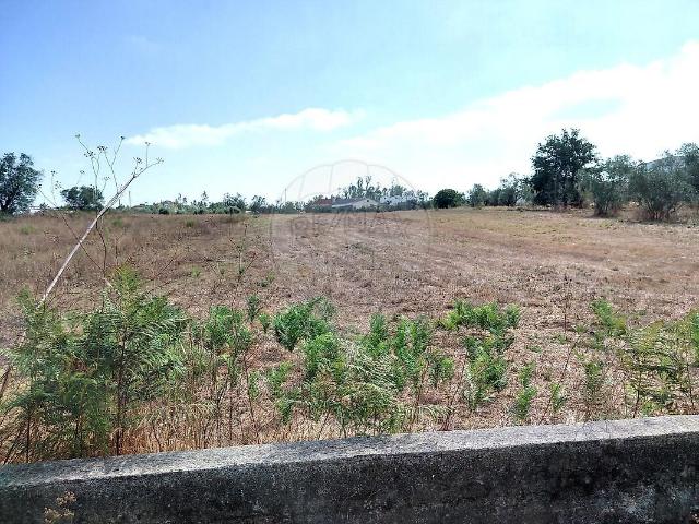 Terreno à venda em Meirinhas, Pombal RE/MAX Portugal
