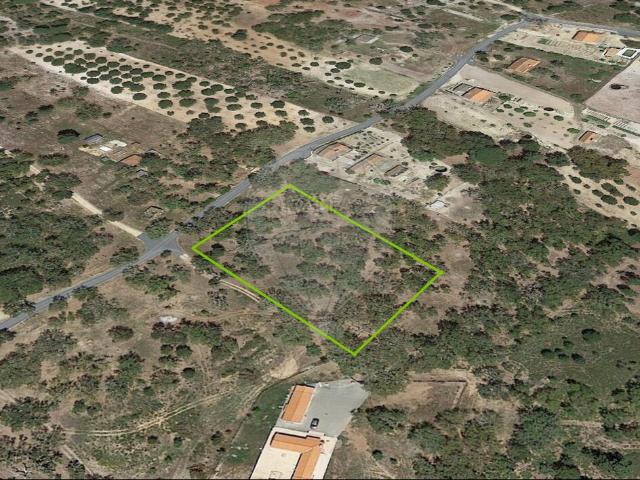 Terreno à venda em Melides