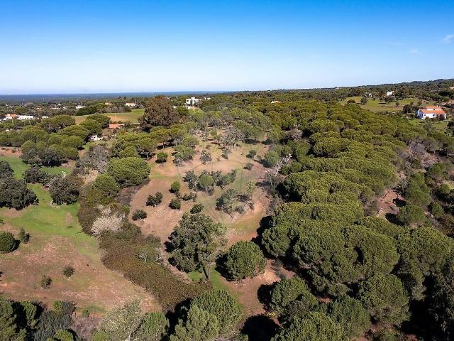 Terreno à venda em Melides, Grândola RE/MAX Portugal