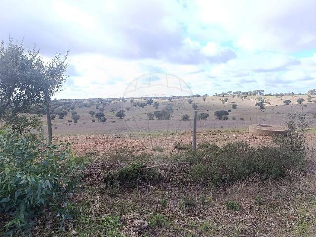 Terreno à venda em Mértola, Mértola RE/MAX Portugal