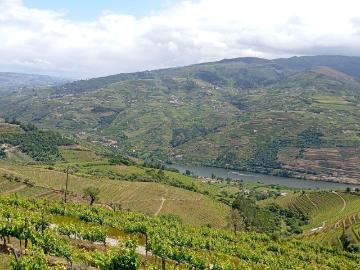 Terreno à venda em Mesão Frio
