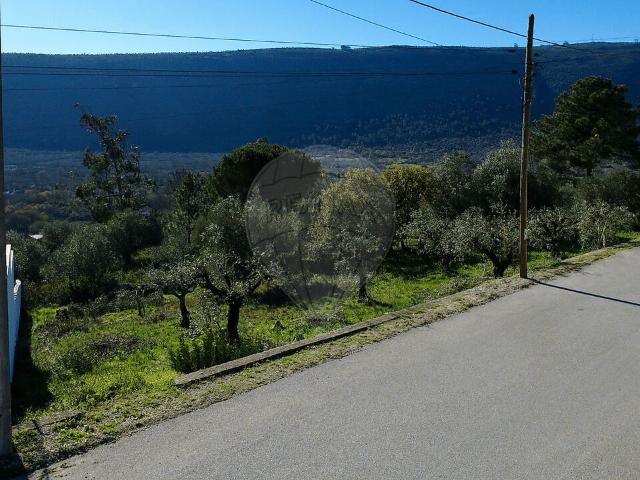 Terreno à venda em Mira de Aire, Porto de Mós RE/MAX Portugal
