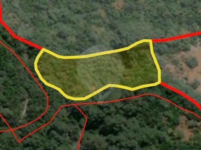 Terreno à venda em Mira de Aire, Porto de Mós RE/MAX Portugal