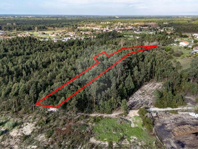Terreno à venda em Mira, Mira RE/MAX Portugal
