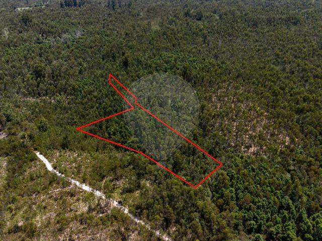 Terreno à venda em Mira, Mira RE/MAX Portugal