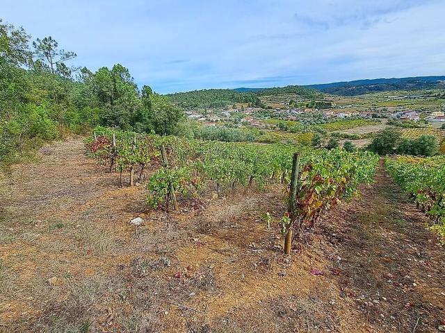 Terreno à venda em Miranda do Corvo, Miranda do Corvo RE/MAX Portugal