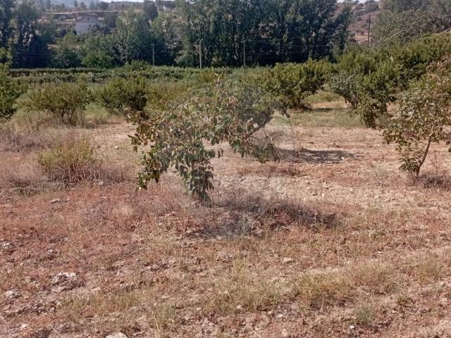 Terreno à venda em Mirandela