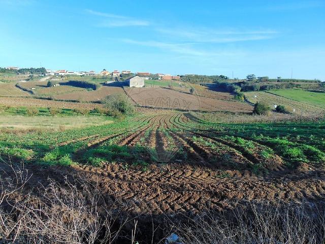 Terreno à venda em Miragaia e Marteleira, Lourinhã RE/MAX Portugal