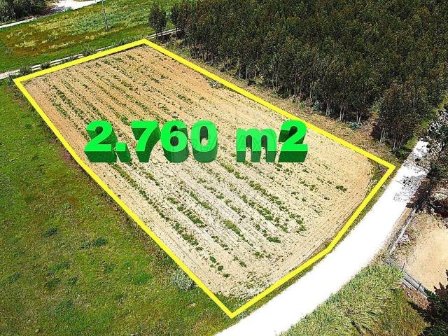 Terreno à venda em Miragaia e Marteleira, Lourinhã RE/MAX Portugal