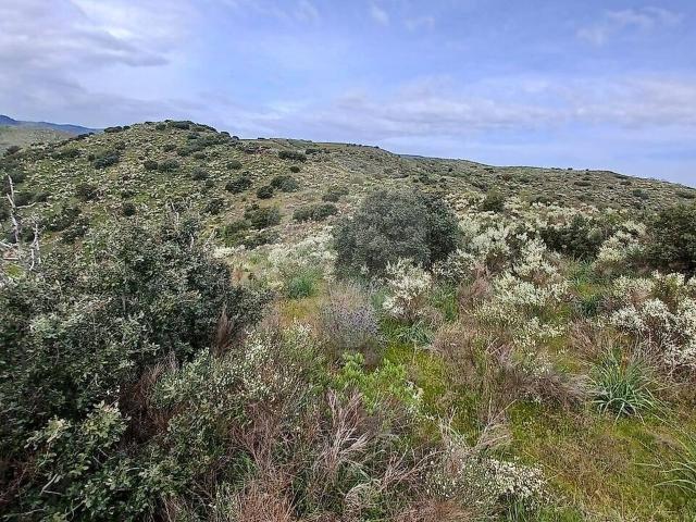 Terreno à venda em Muxagata, Vila Nova de Foz Côa RE/MAX Portugal