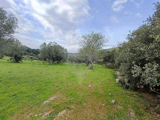 Terreno à venda em Muxagata, Vila Nova de Foz Côa RE/MAX Portugal