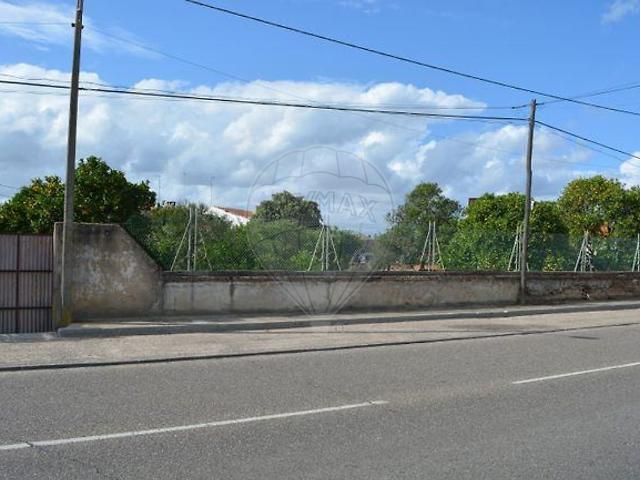 Terreno à venda em Muge