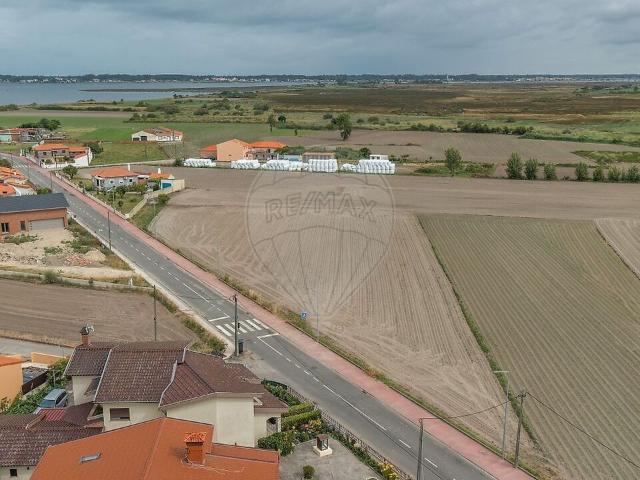 Terreno à venda em Murtosa, Murtosa RE/MAX Portugal