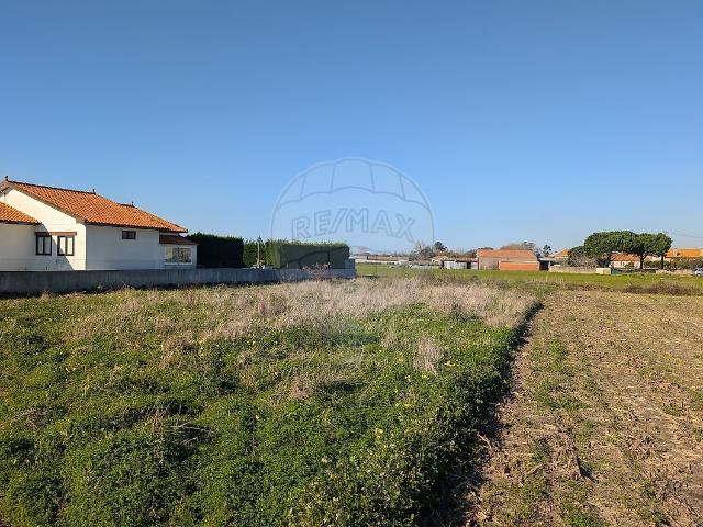 Terreno à venda em Murtosa, Murtosa RE/MAX Portugal