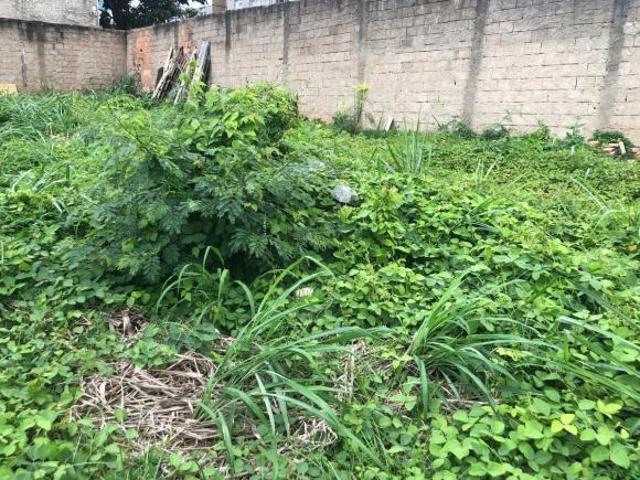 Terreno à venda em Nova Esperança