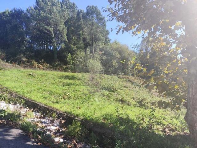 Terreno à venda em Nogueira do Cravo e Pindelo, Oliveira de Azeméis RE/MAX Portugal