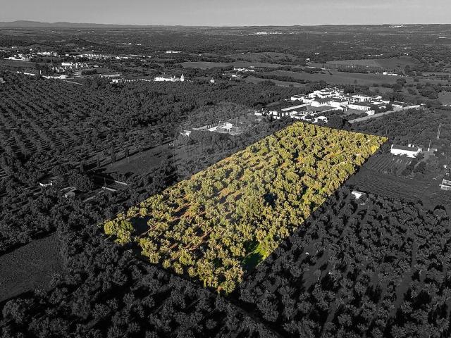 Terreno à venda em Nossa Senhora da Conceição e São Bartolomeu, Vila Viçosa RE/MAX Portugal