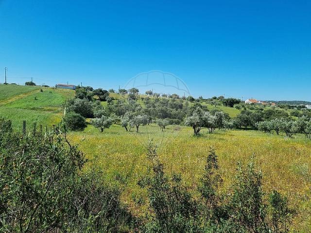 Terreno à venda em Nossa Senhora de Machede, Évora RE/MAX Portugal