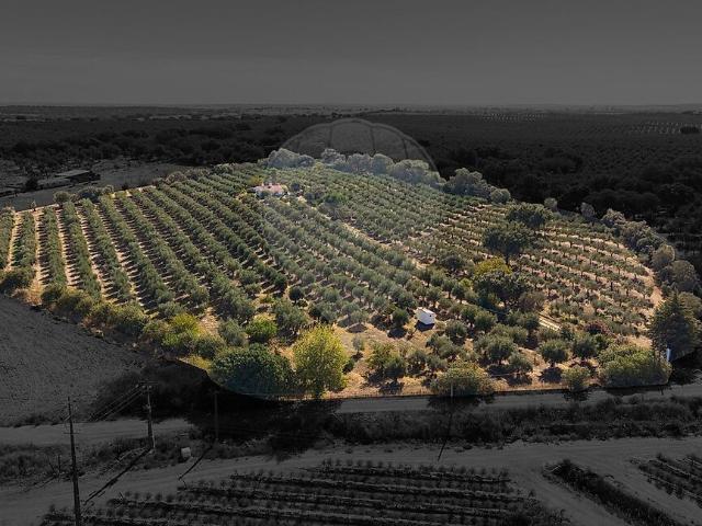 Terreno à venda em Nossa Senhora de Machede, Évora RE/MAX Portugal