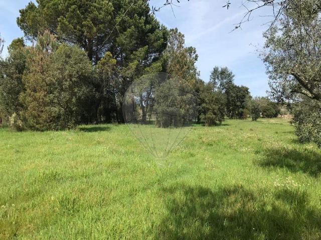 Terreno à venda em Nelas