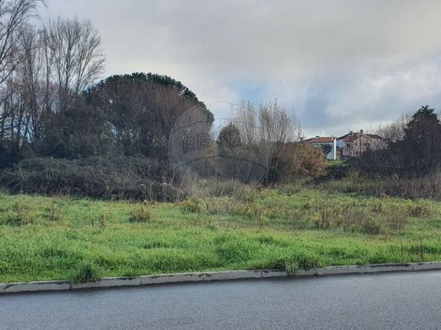 Terreno à venda em Nelas