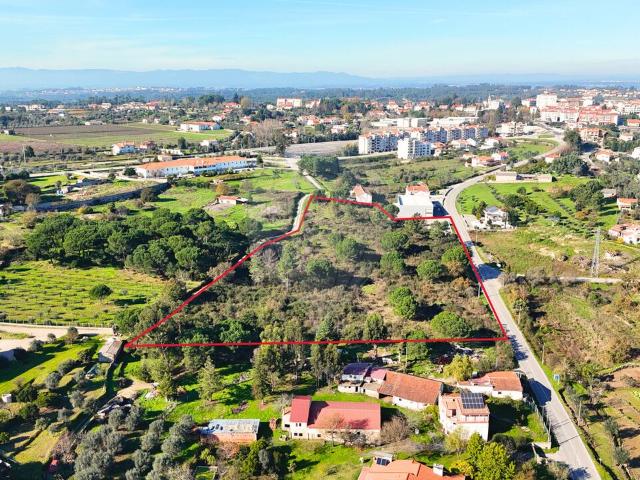 Terreno à venda em Nelas