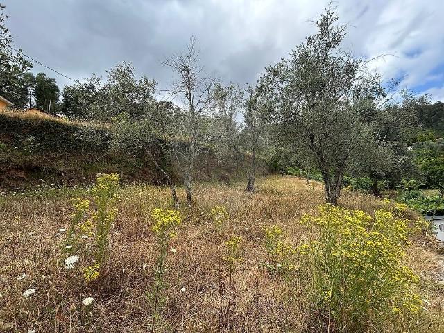 Terreno à venda em Nespereira, Cinfães RE/MAX Portugal