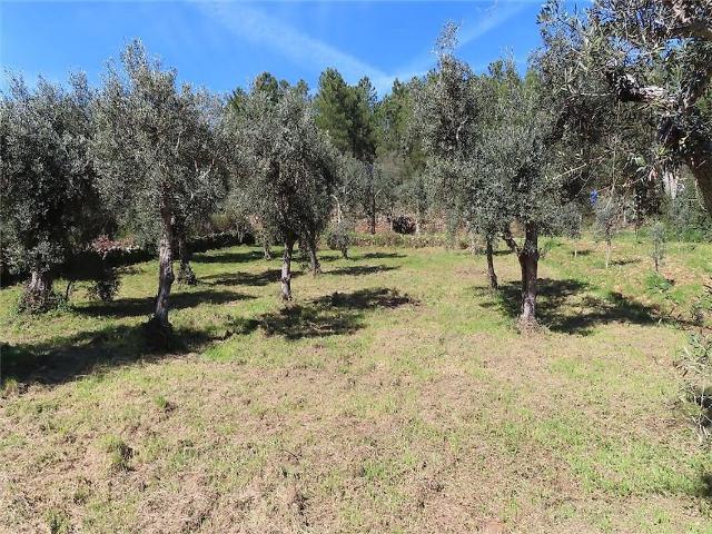 Terreno à venda em Ninho do Açor e Sobral do Campo, Castelo Branco RE/MAX Portugal