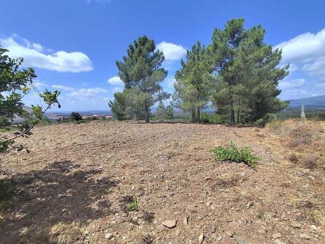 Terreno à venda em Ninho do Açor e Sobral do Campo, Castelo Branco RE/MAX Portugal