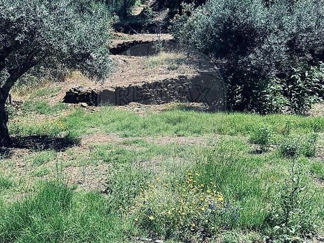 Terreno à venda em Ninho do Açor e Sobral do Campo, Castelo Branco RE/MAX Portugal