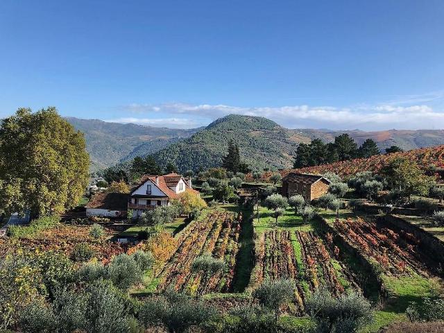 Terreno à venda em São Mamede de Ribatua, Alijó RE/MAX Portugal