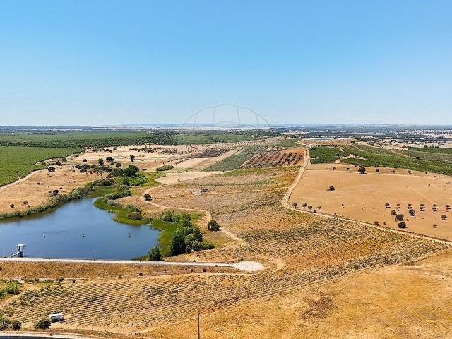 Terreno à venda em São Manços e São Vicente do Pigeiro, Évora RE/MAX Portugal