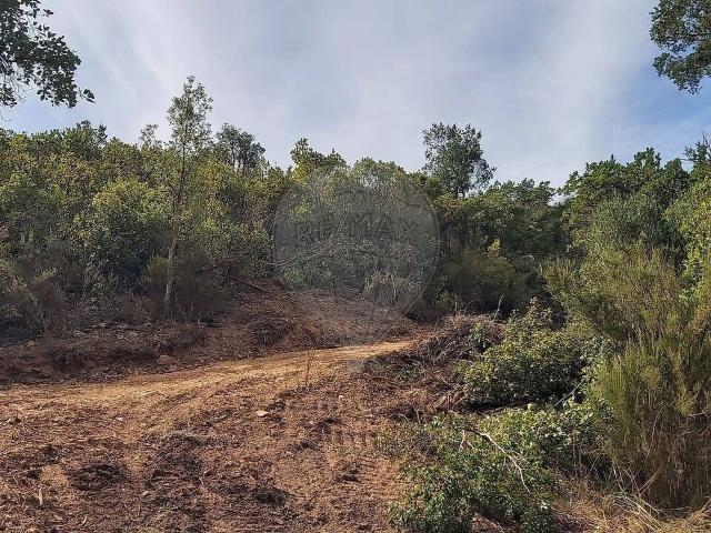 Terreno à venda em São Marcos da Serra, Silves RE/MAX Portugal