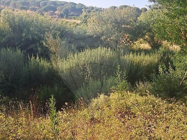 Terreno à venda em São Marcos da Serra, Silves RE/MAX Portugal