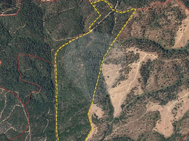 Terreno à venda em São Martinho das Amoreiras, Odemira RE/MAX Portugal