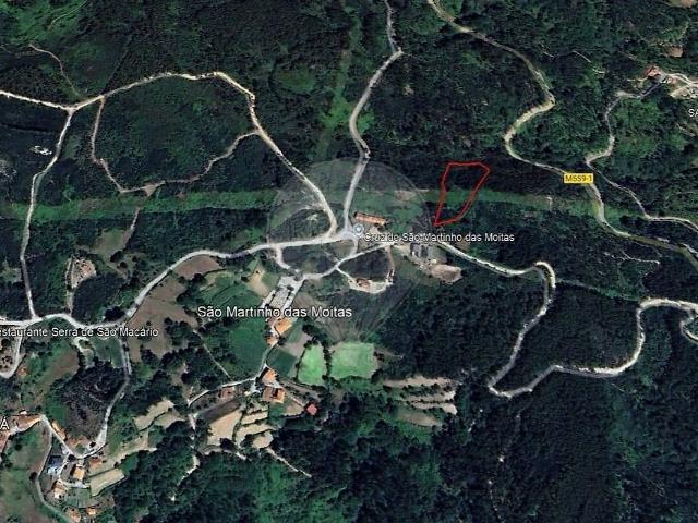 Terreno à venda em São Martinho das Moitas e Covas do Rio, São Pedro do Sul RE/MAX Portugal